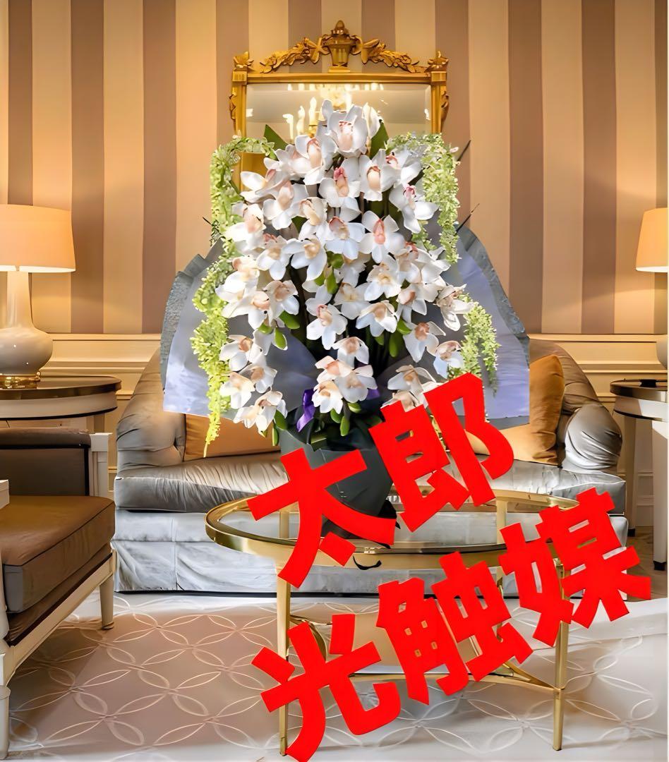 光触媒　人工観葉植物　フェイクグリーン　胡蝶蘭　シンピジューム６本立ち