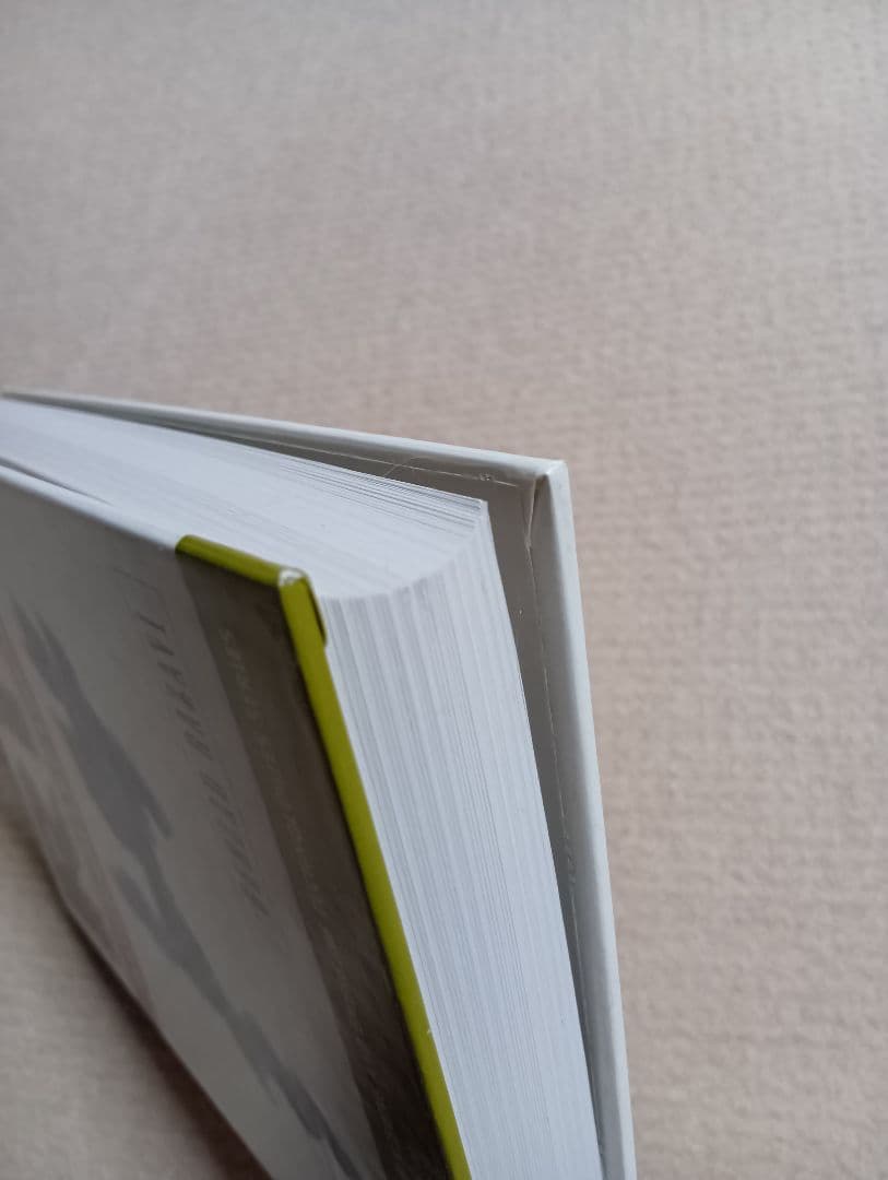 洋書 RF MICROELECTRONICS