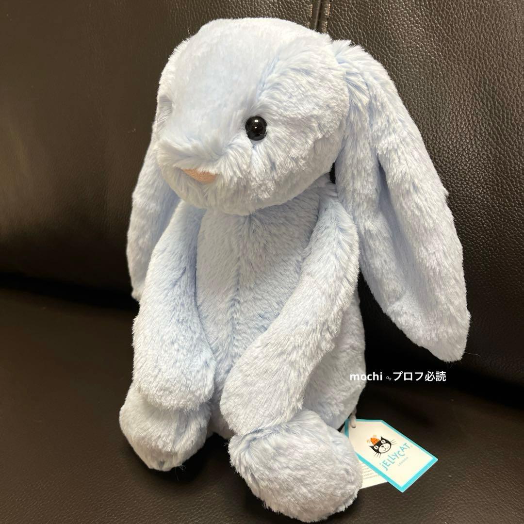 つる927ページ  Bashful Blue Bunny