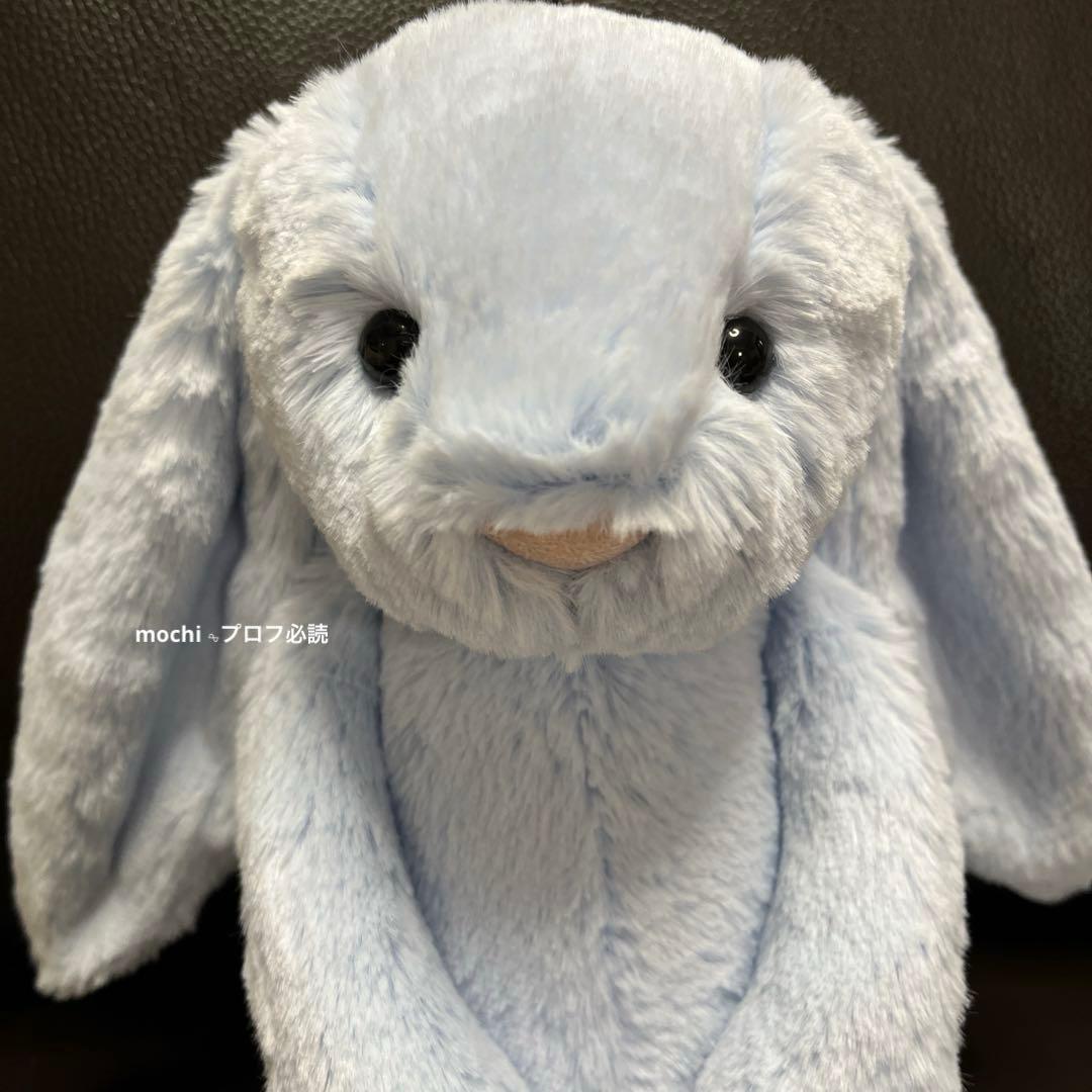 つる927ページ  Bashful Blue Bunny