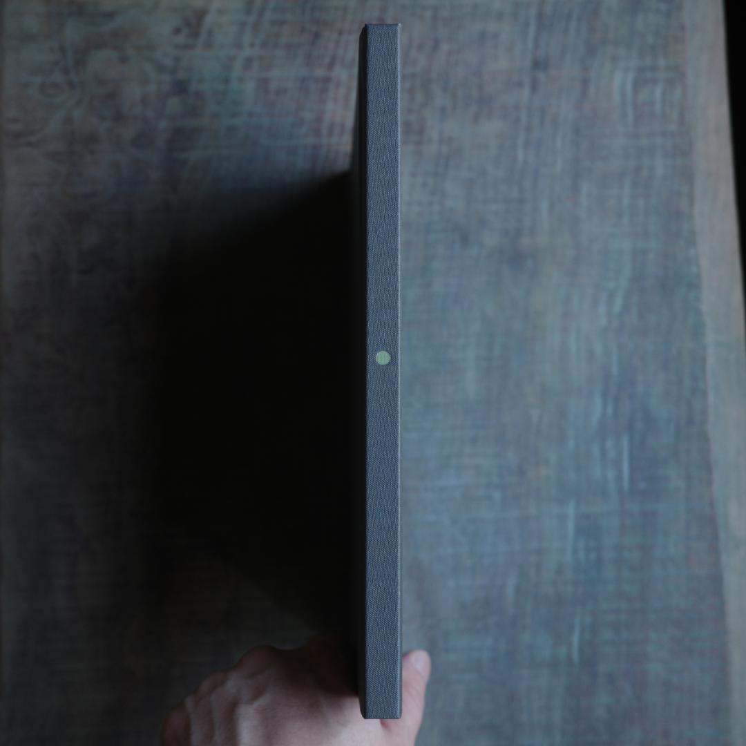 プロフお目通し Roni Horn Ísland MotherWonder