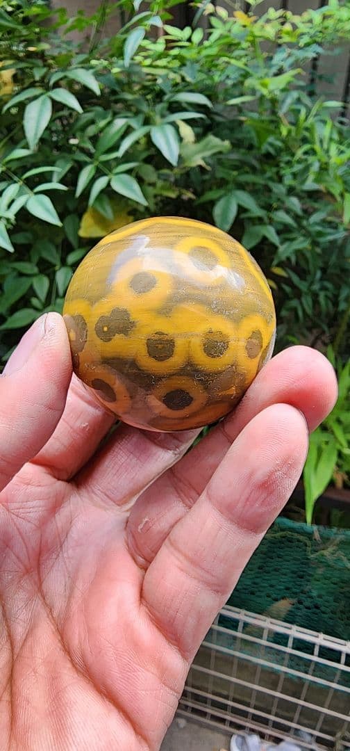 オーシャンジャスパー