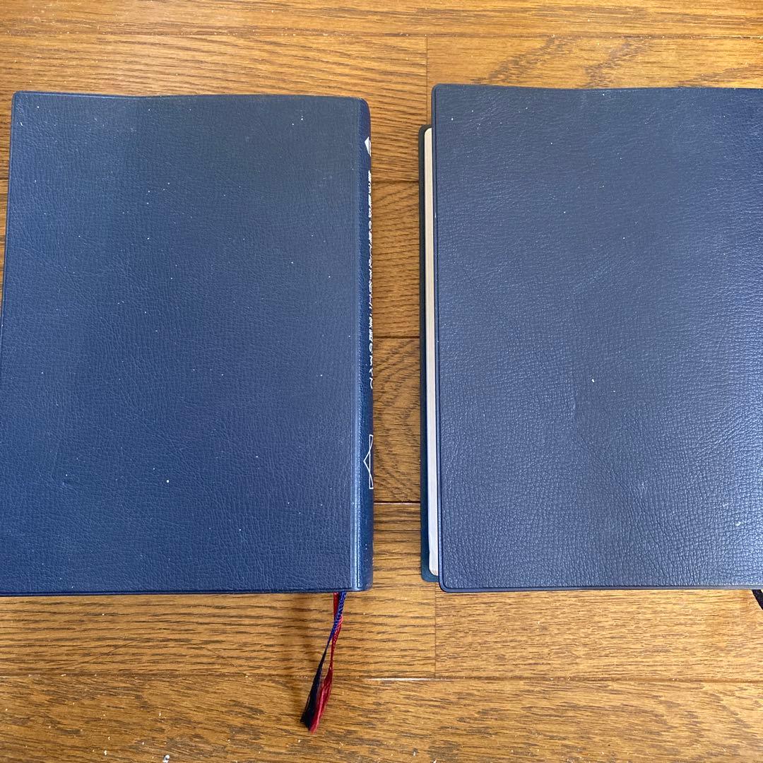 鍼灸療法技術ガイド I・II セット