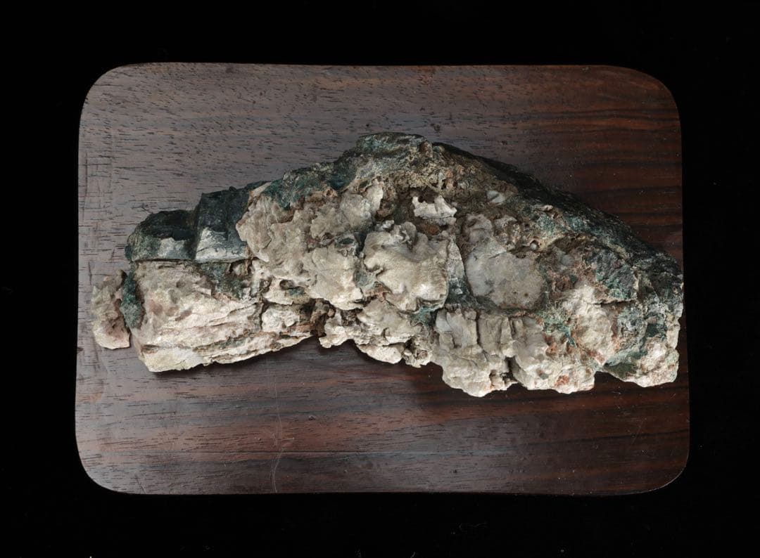 菊花石　断層石 風化景石 台座付 721g 天然石 鑑賞石 原石 自然石 景石