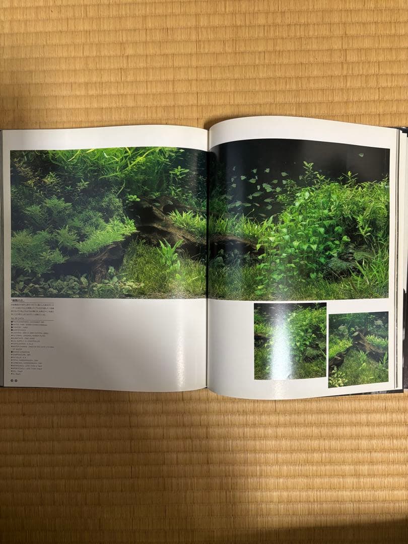 希少 絶版 ADA ✨ 天野尚 ガラスの中の大自然 水草レイアウト作品集