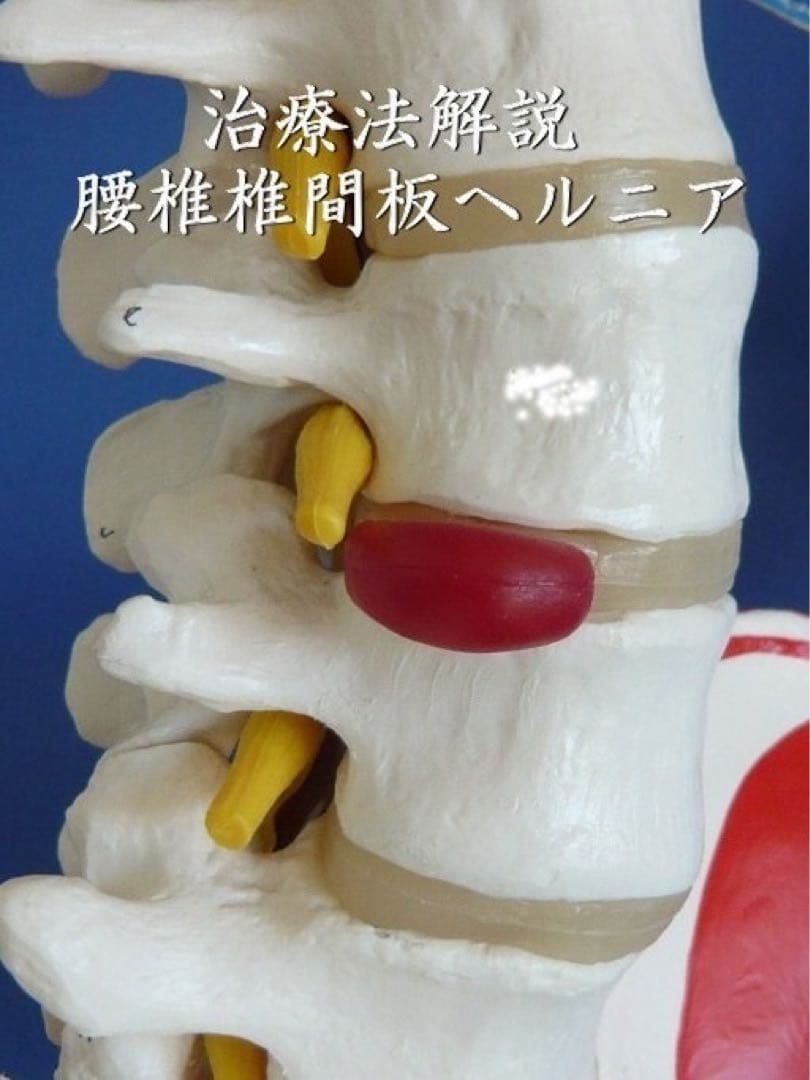 自然形体療法 非売品教材