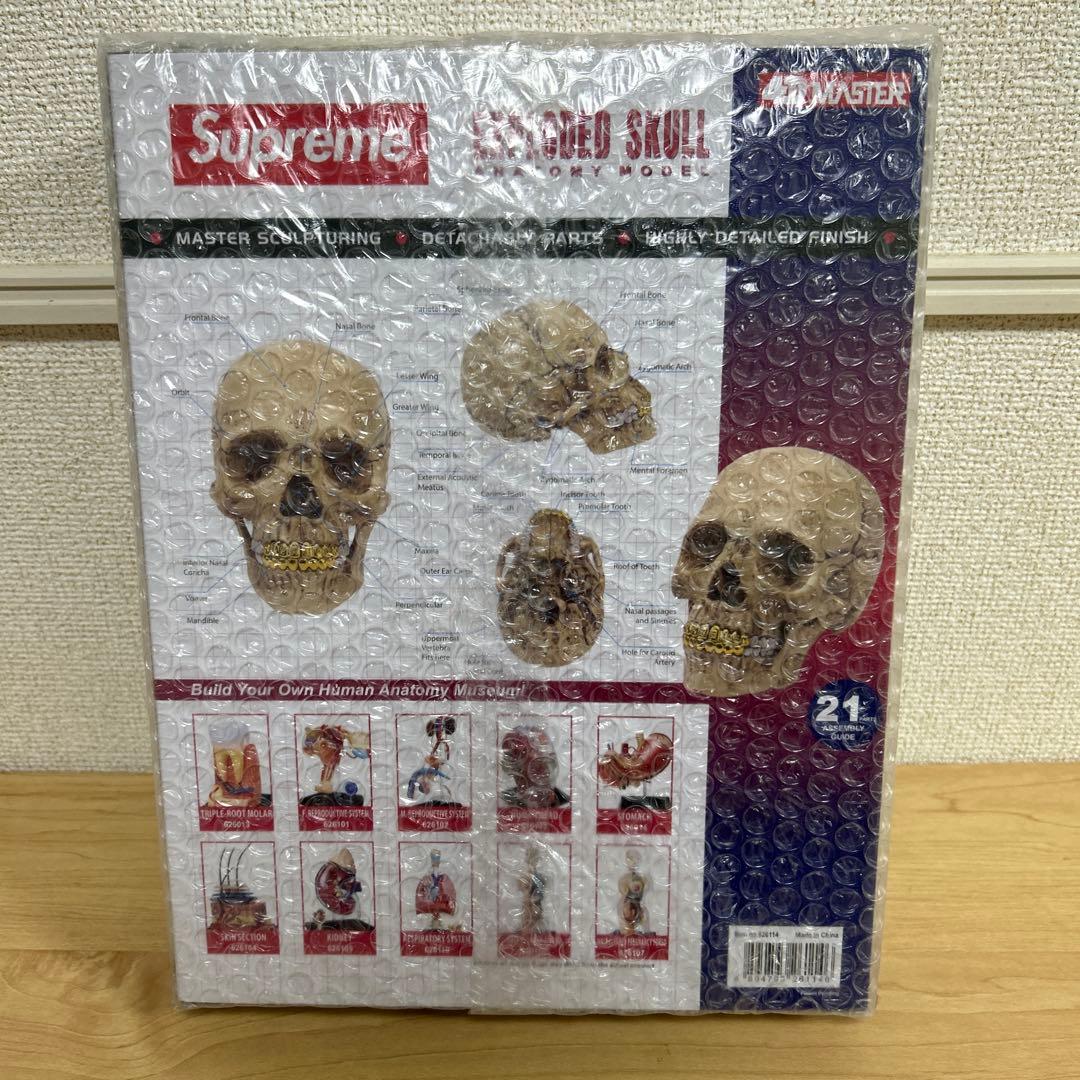 SUPREME (シュプリーム) / 4D MODEL HUMAN SKULL