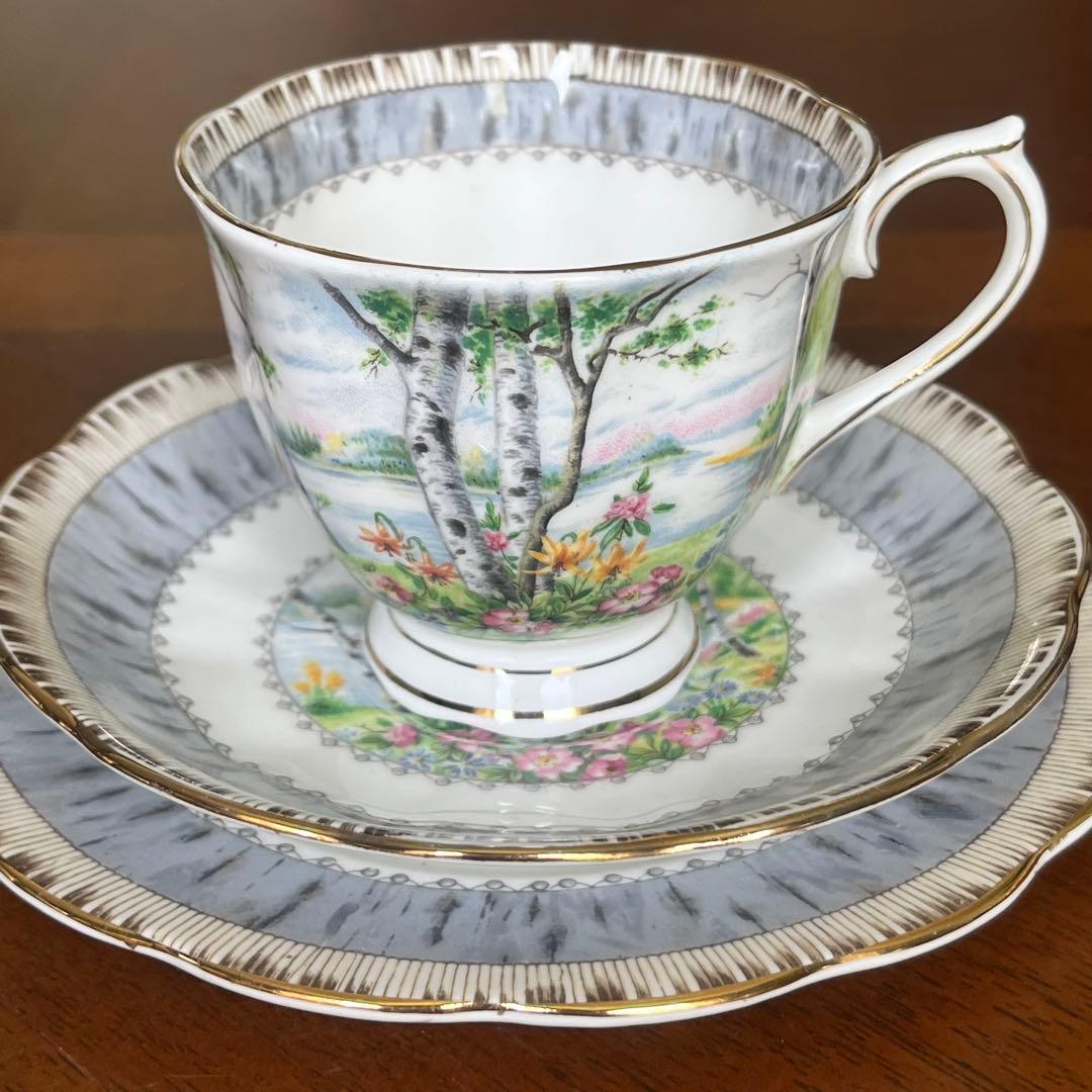 【レア美品】ロイヤルアルバート★シルバーバーチ★トリオ