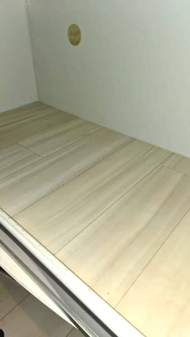 フトアゴ飼育セット