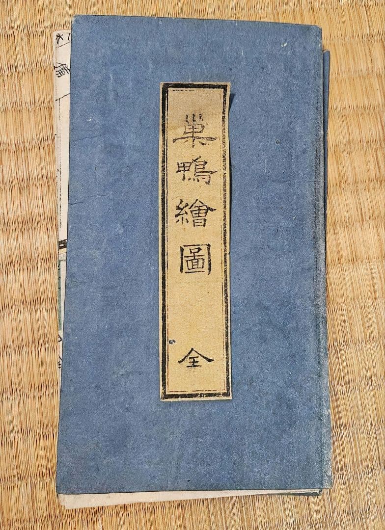 江戸切絵図【巣鴨】尾張屋清七 古地図