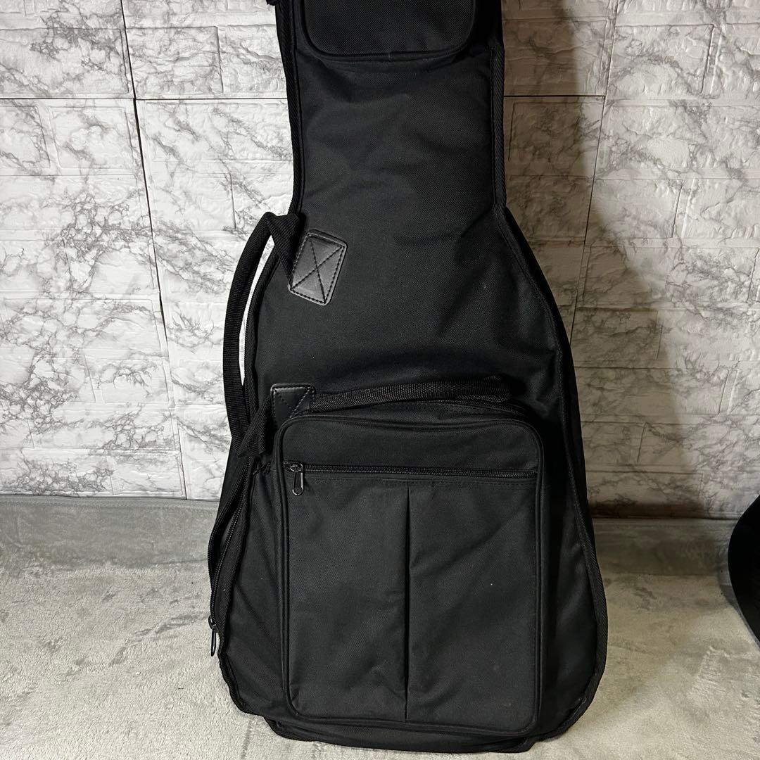 【希少•メンテ済み】 ESP F-100FM 海外展開モデルフレイムメイプル