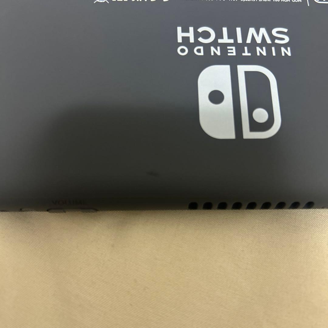 Nintendo Switch Lite グレー 本体 充電器、箱付き