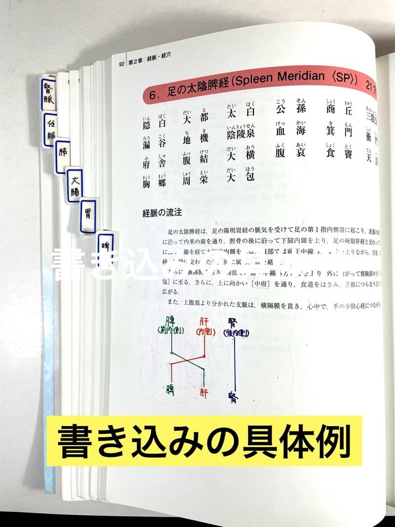 鍼灸　専門学校教科書　15冊セット他　全16￼冊￼￼ まとめ売り　お買い得品！￼