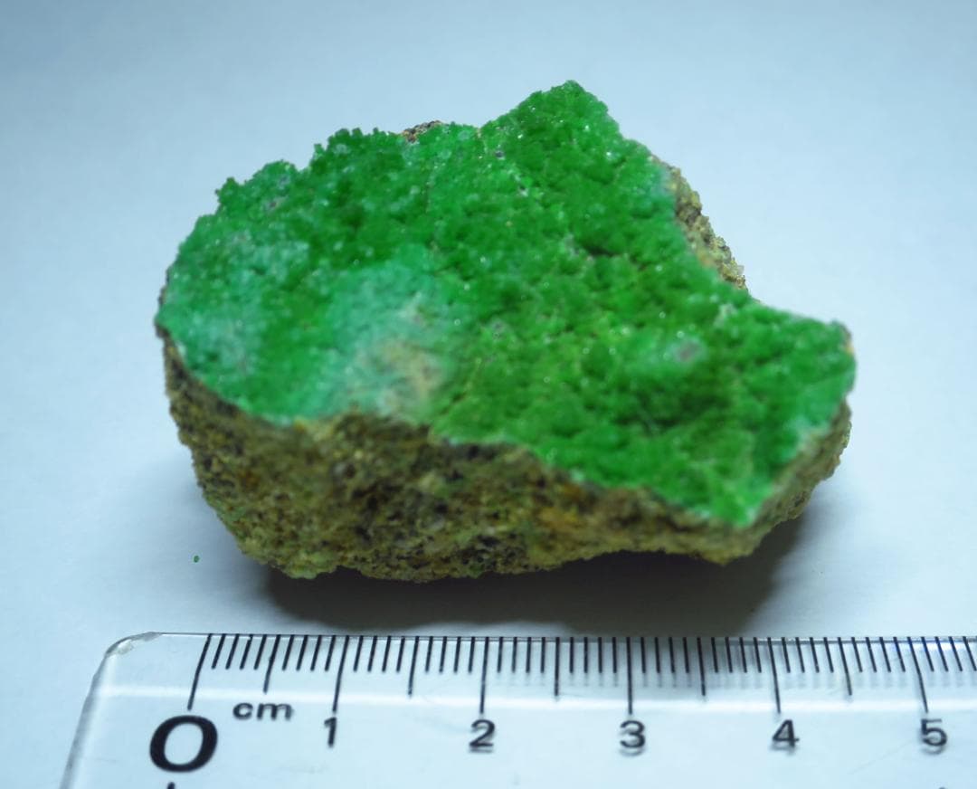 緑鉛鉱 　パイロモルファイト ドイツ産　母岩付き　 鉱物標本