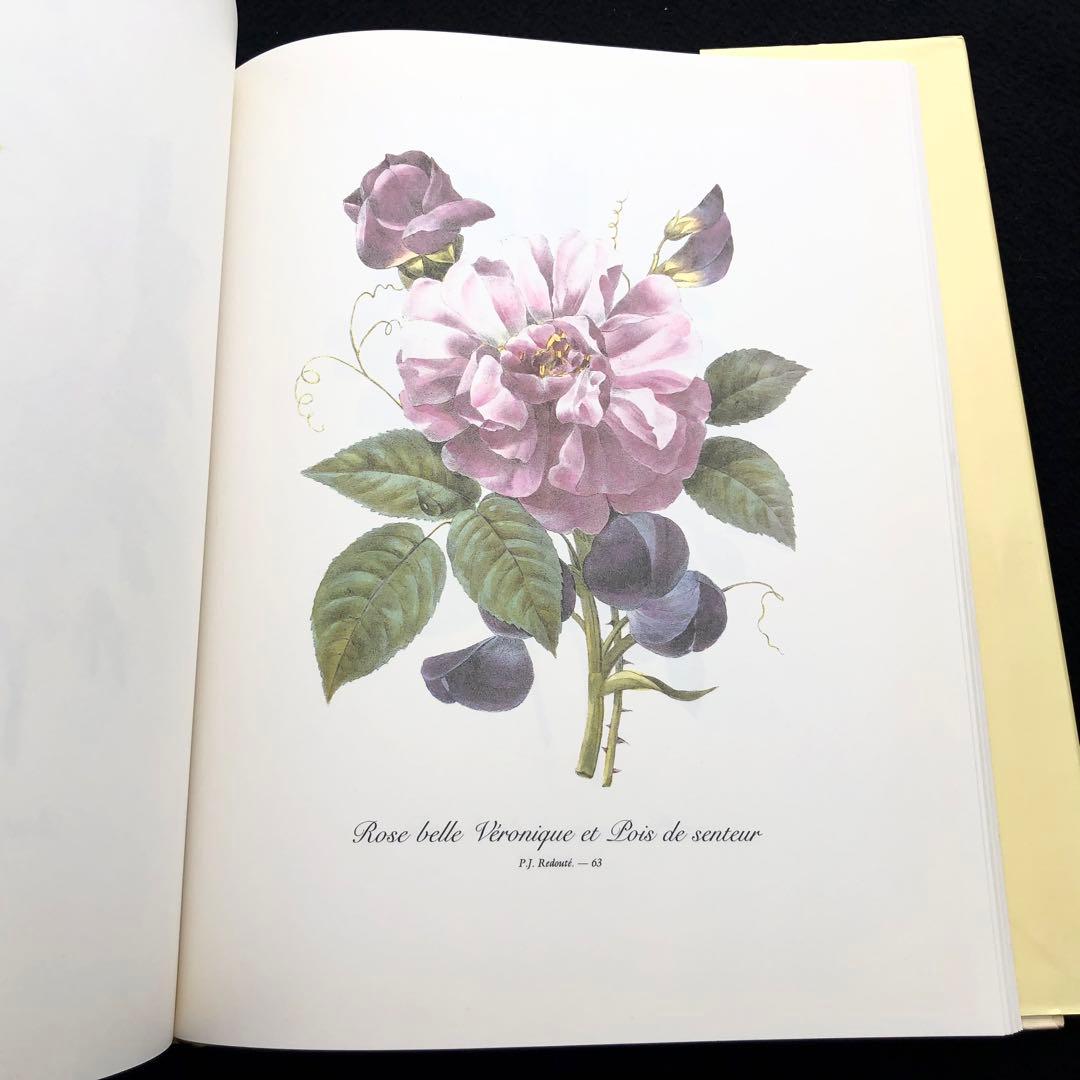 ピエール=ジョゼフ・ルドゥーテ 画集「Redoute's Bouquets」