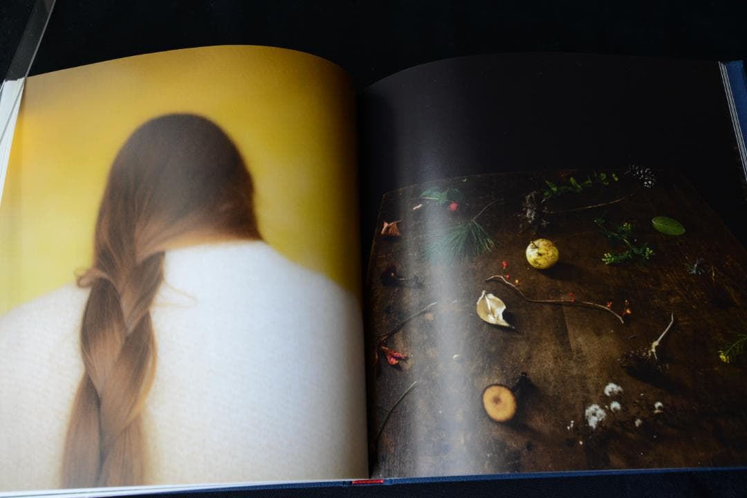 【 Cig Harvey ：Gardening at Night】新品・美本