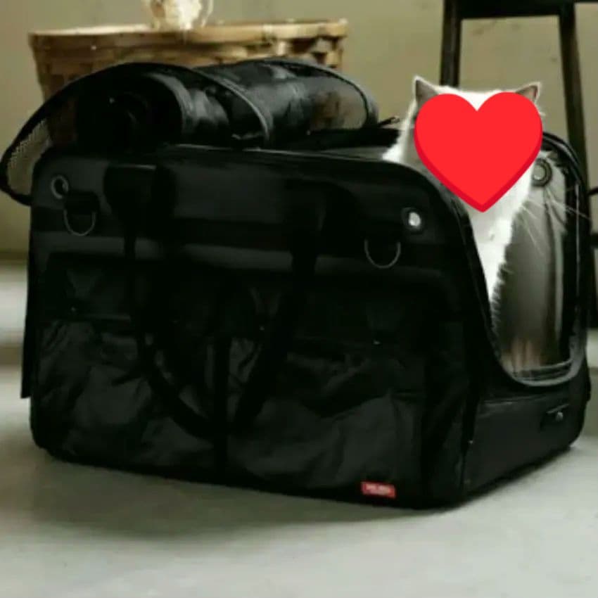 free stitch フリーステッチ DUCAキャリーバッグM 軽量キャリー