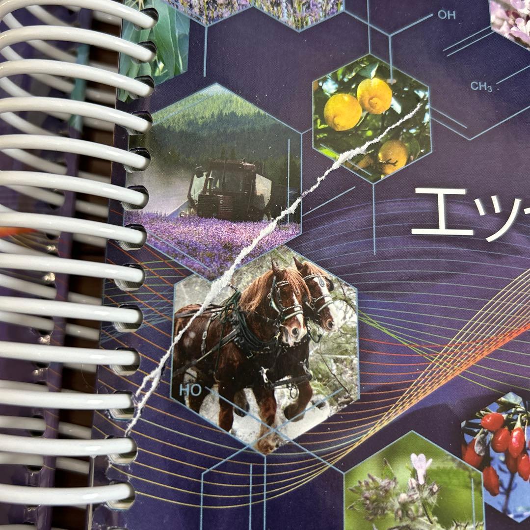 エッセンシャルオイル デスクリファレンス 第6版