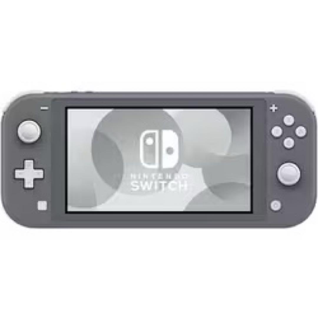 Nintendo switch Lite【ケース付、ACアダプタ無】