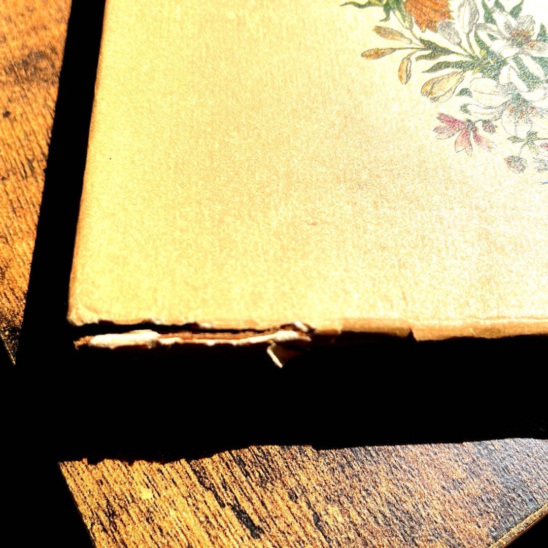 M.S. Merian お花図鑑　２冊　ヴィンテージ洋書　インゼル　初版1966