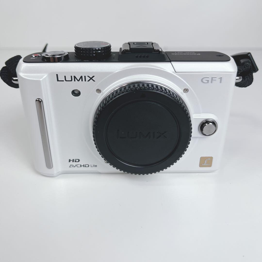 Panasonic DMC-GF1 ミラーレスカメラ本体 バッテリーチャージャ付