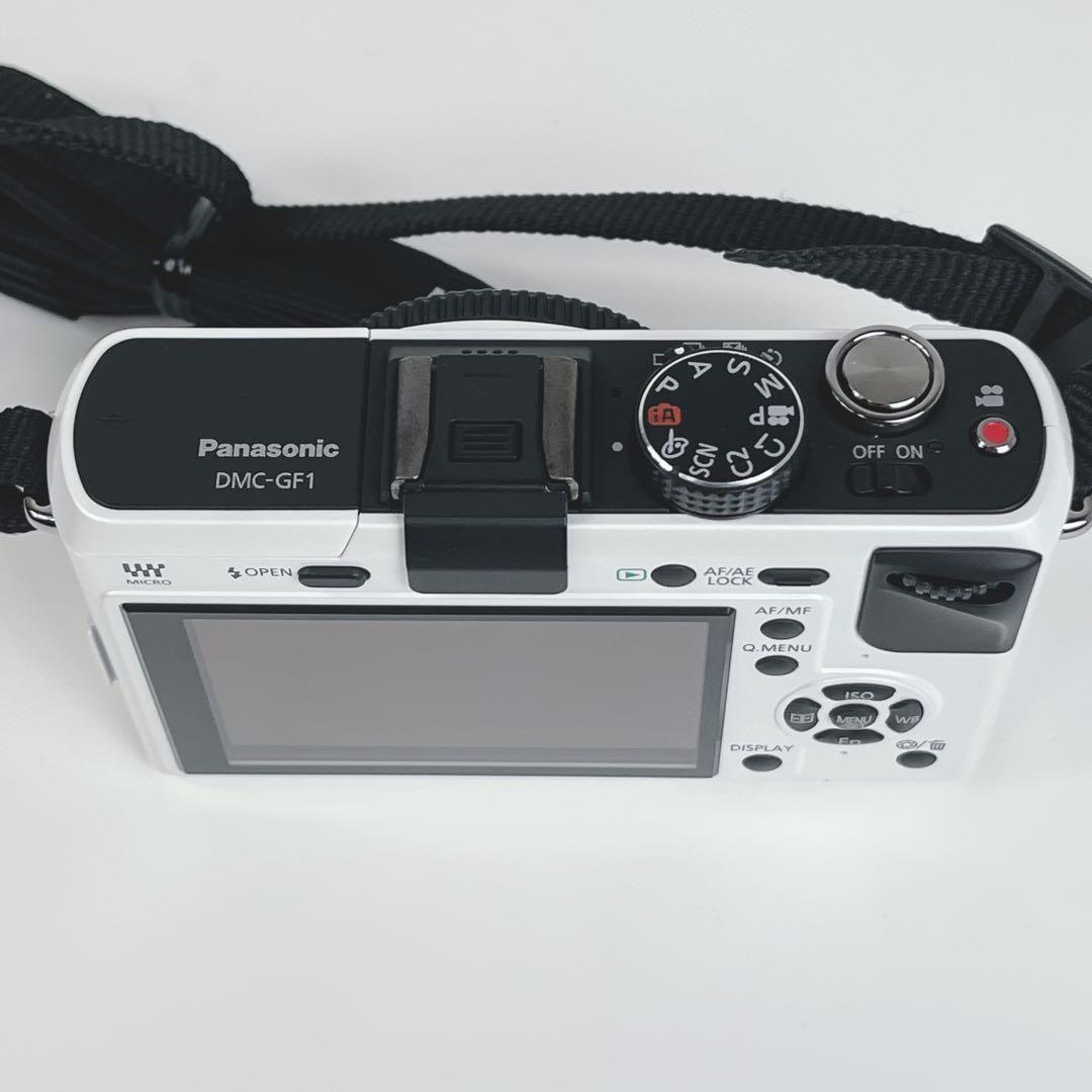 Panasonic DMC-GF1 ミラーレスカメラ本体 バッテリーチャージャ付