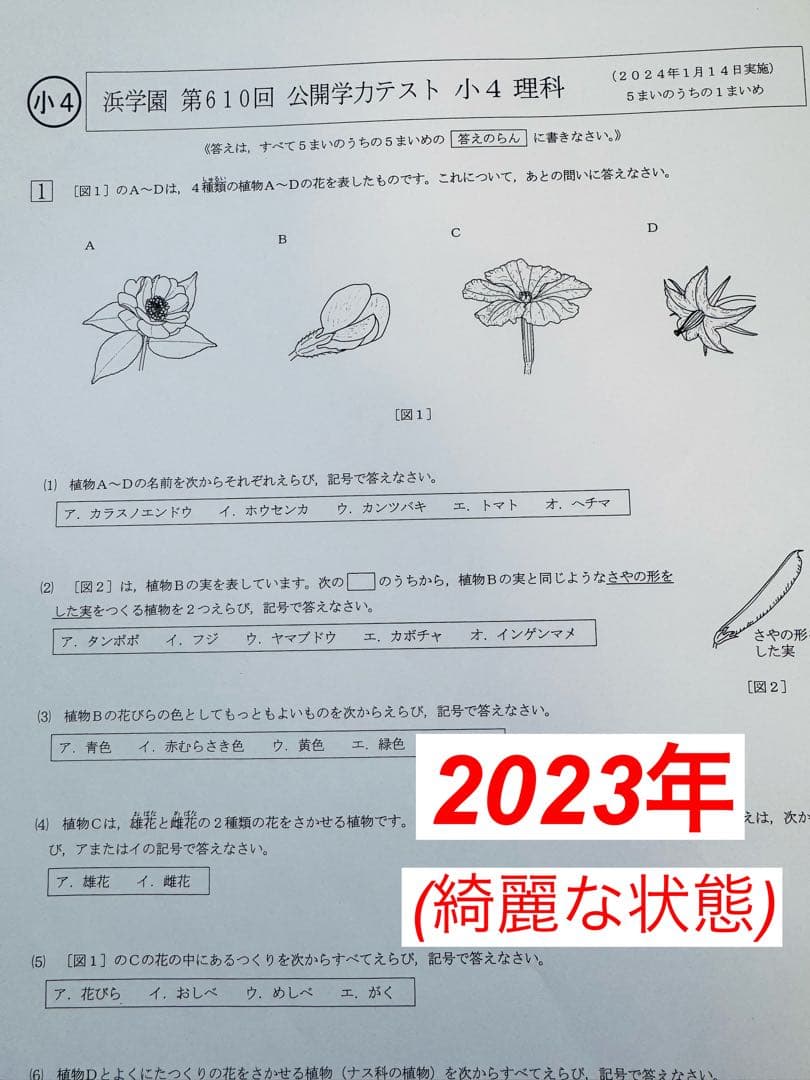 公開学力テスト 浜学園 小4 2022年〜2024年度 4教科 【3年分】