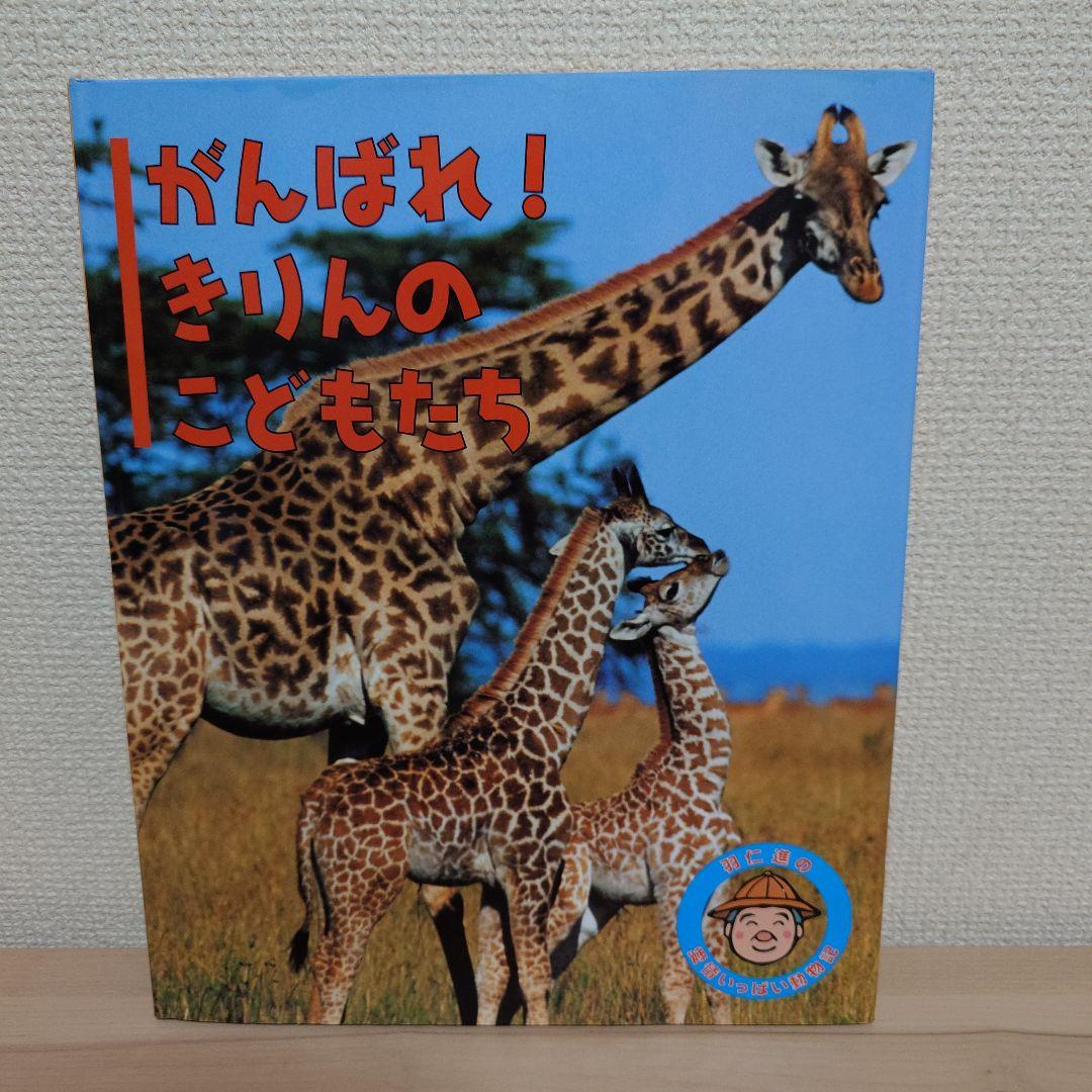 羽仁 進の愛情いっぱい動物記 シリーズ １２冊セット