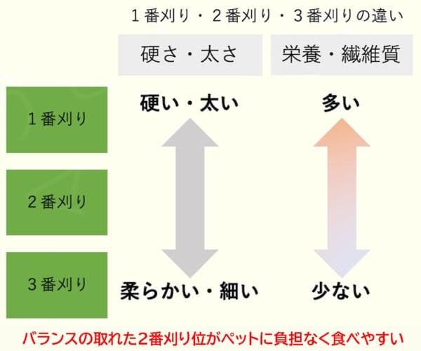 【4/13まで】 カナダ産 チモシー 50kg スーパープレミアム １番刈り
