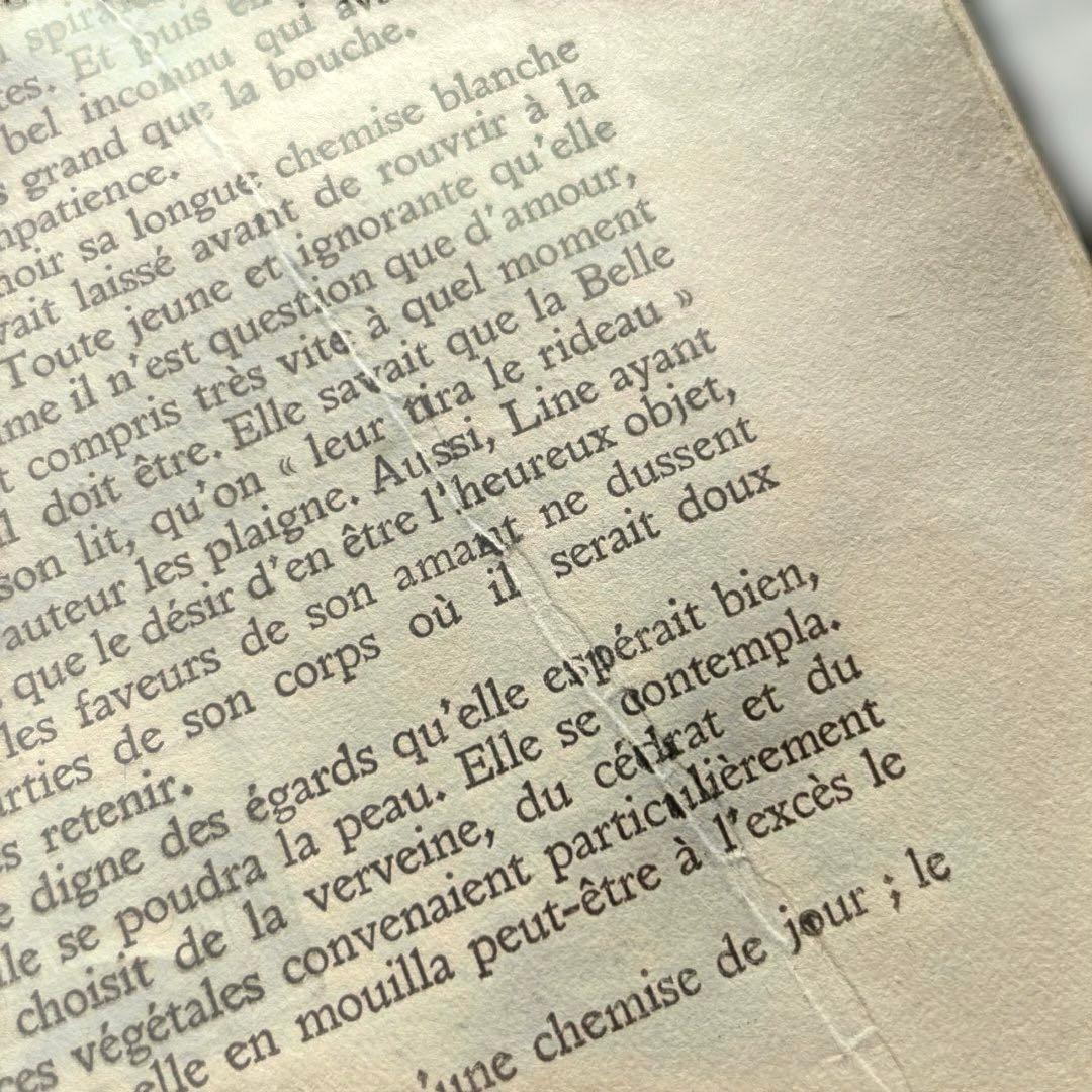 【一点限り】藤田嗣治 ポーゾル王の冒険 木版画 挿絵27点収録 ピエール ルイス