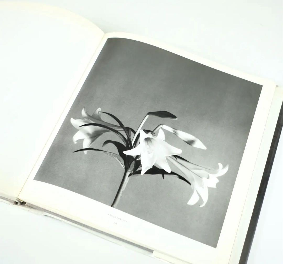ROBERT MAPPLETHORPE 洋書　写真集　RANDOM HOUSE