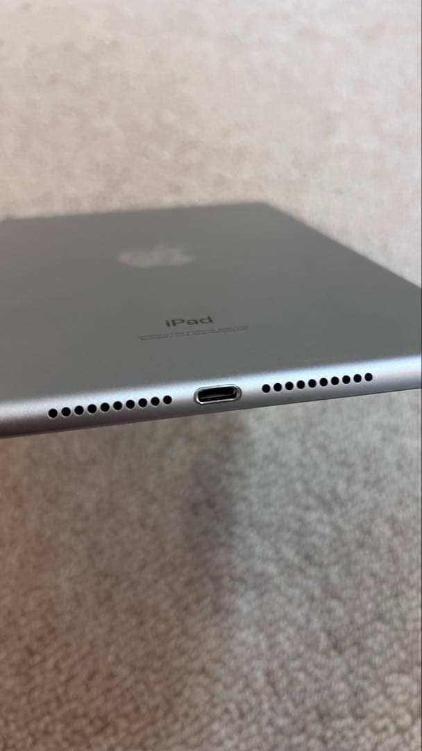 iPad mini 第5世代 256GB Wi-Fiモデル シルバー 本体