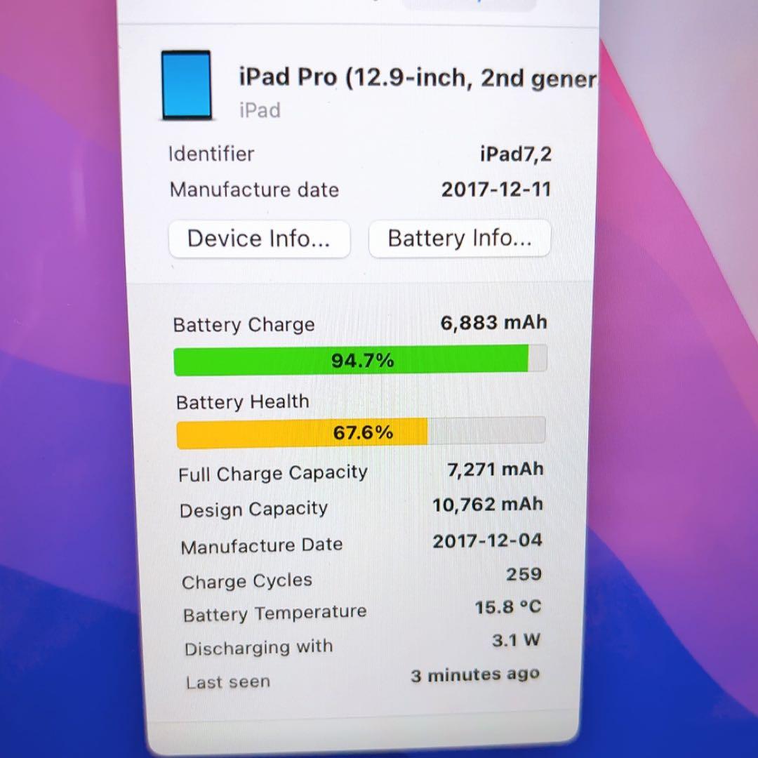 iPadPro2【12.9インチ】シムフリー256GBとアップルペンシルのセット