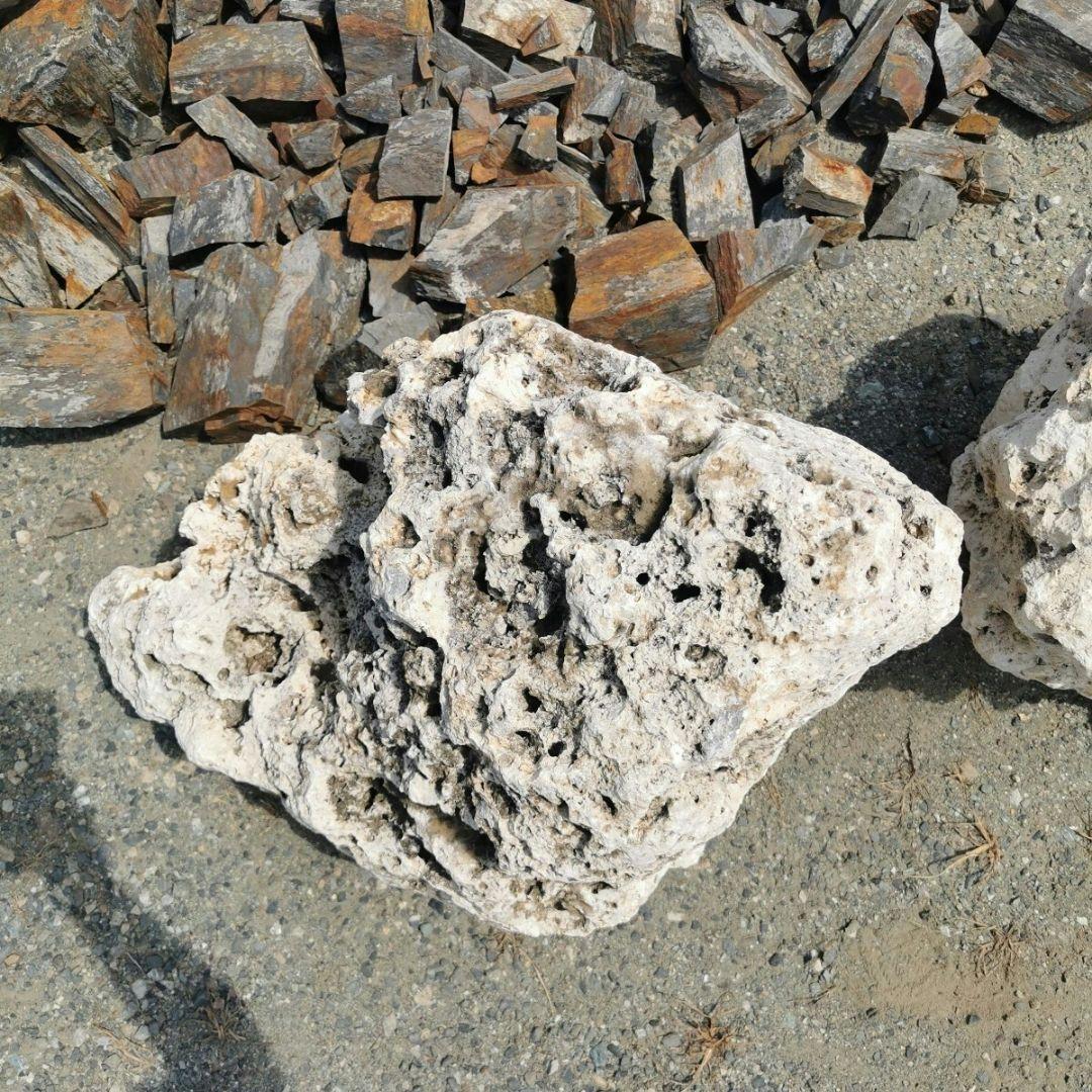 サンゴ石　115キロ　庭石　石　鑑賞石 石材　庭　ガーデニング　置物