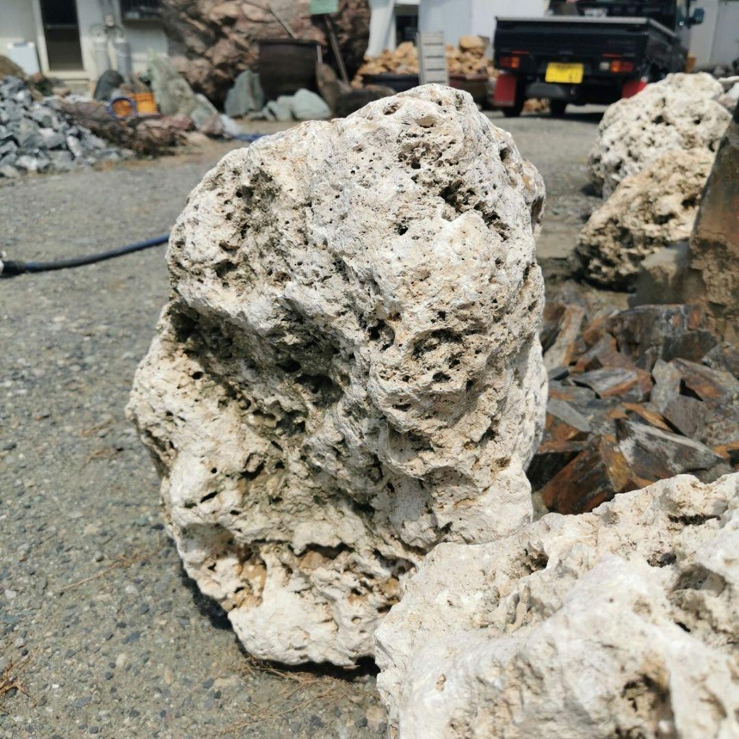 サンゴ石　115キロ　庭石　石　鑑賞石 石材　庭　ガーデニング　置物