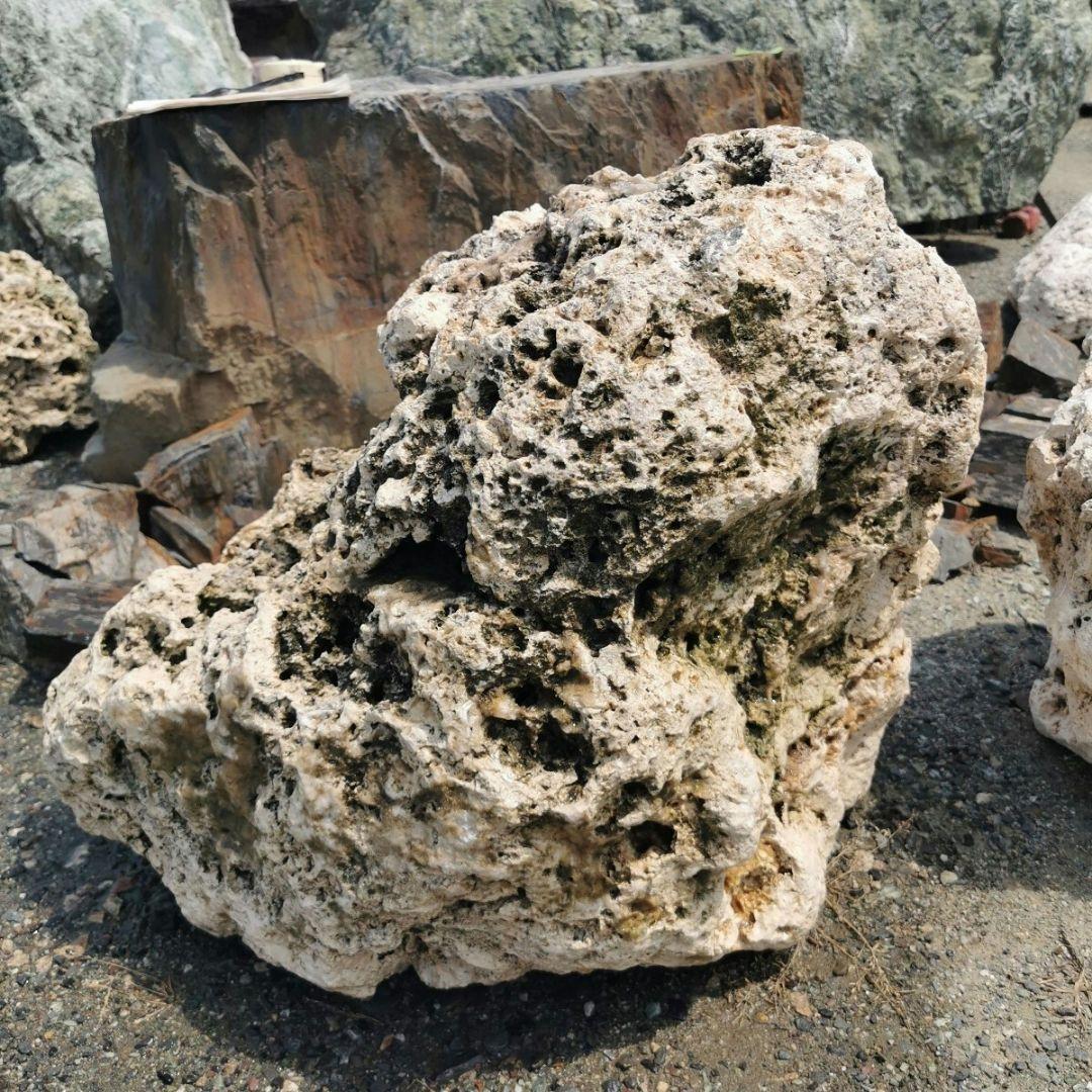 サンゴ石　115キロ　庭石　石　鑑賞石 石材　庭　ガーデニング　置物