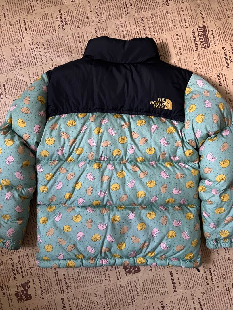 【正規品・レア】THE NORTH FACE✖️ミナペルホネンコラボヌプシダウン