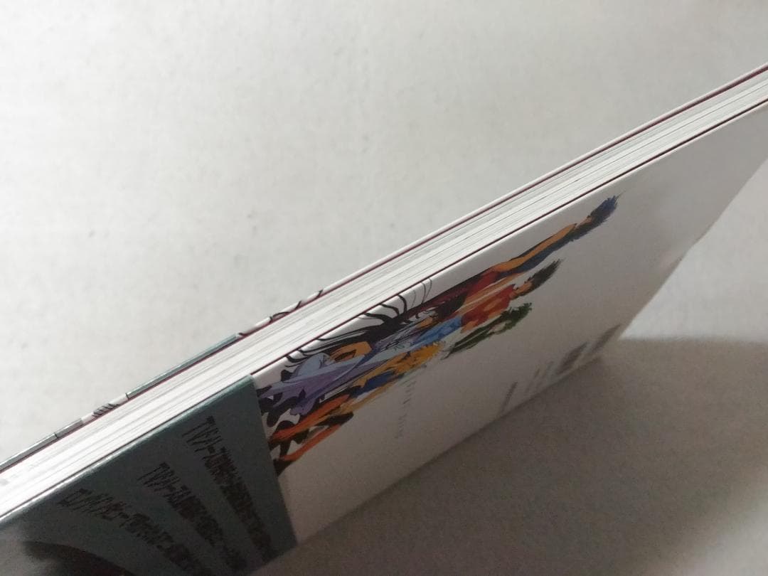 光 HIKARI 聖闘士星矢荒木伸吾&姫野美智 ILLUSTRATIONS 画集