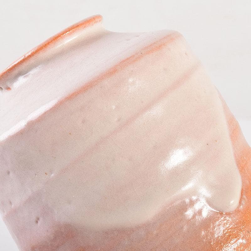 茶道具　萩焼　江月窯　肩衝茶入　在銘　共箱　V　6896