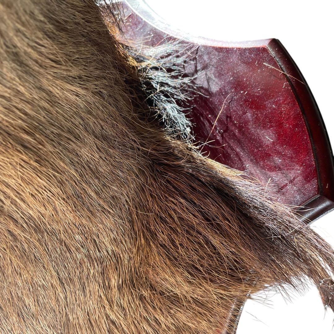 【本物】鹿の剥製　インテリア 壁掛　ハンティングトロフィー　エゾシカ （1）