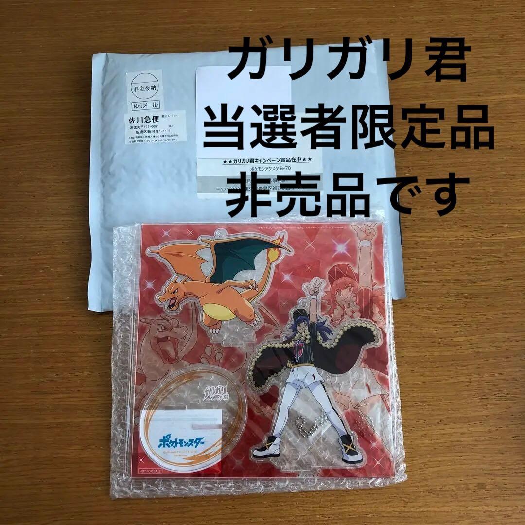 ポケモン ガリガリ君 アクリルスタンド ダンデ&リザードン 当選品 限定品 新品