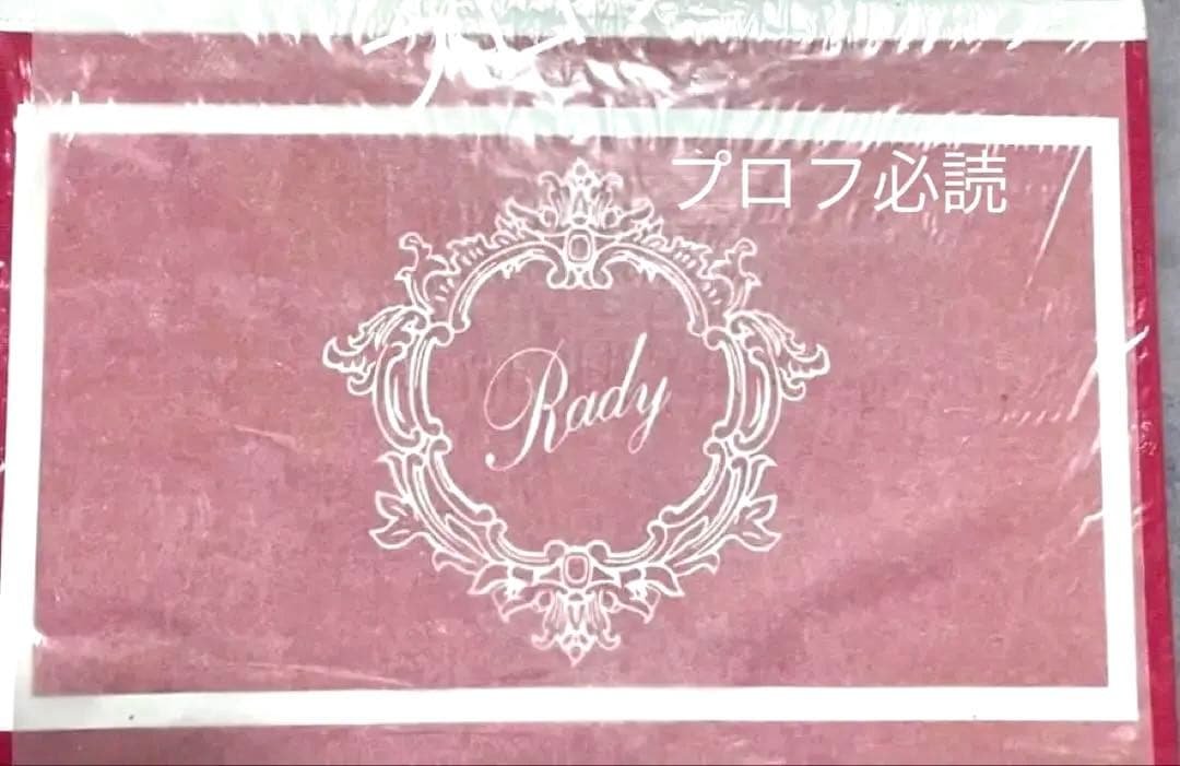 Rady 収納ボックス ホテルシリーズ ショッキングピンク 【3個セット】