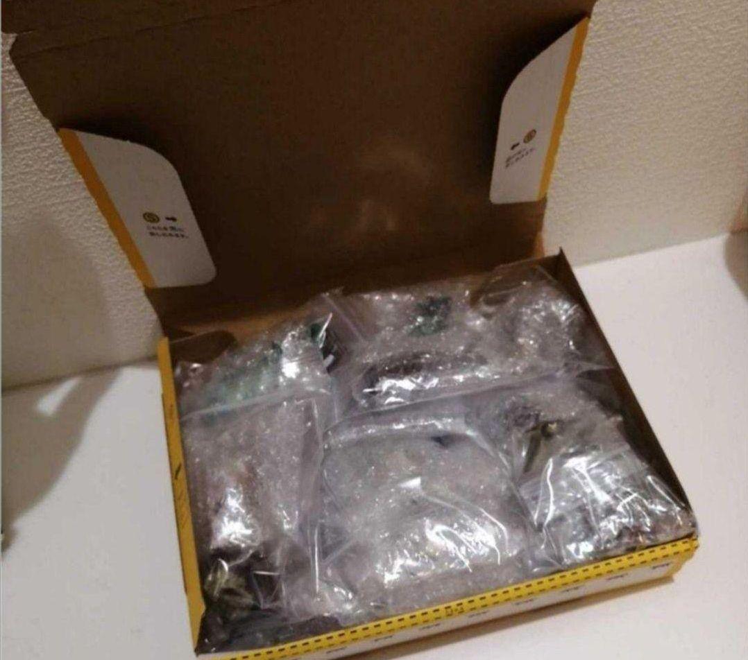 ★希少★ 立体コレクション3 初版 フルコンプリート　全8種 鳥羽水族館限定