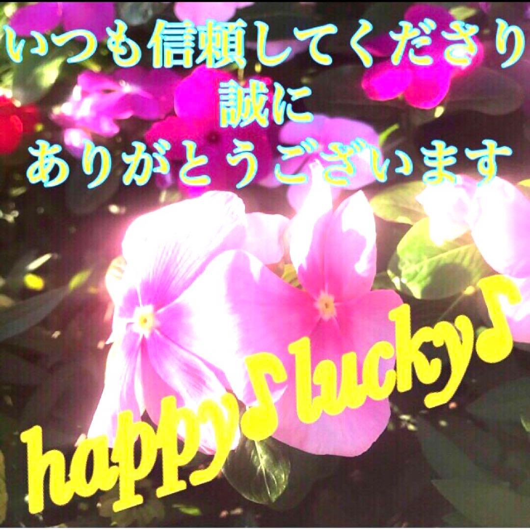 秘符(さくら)呪い　呪詛　呪詛解除　邪魔　誹謗中傷　護符　霊符　お守り