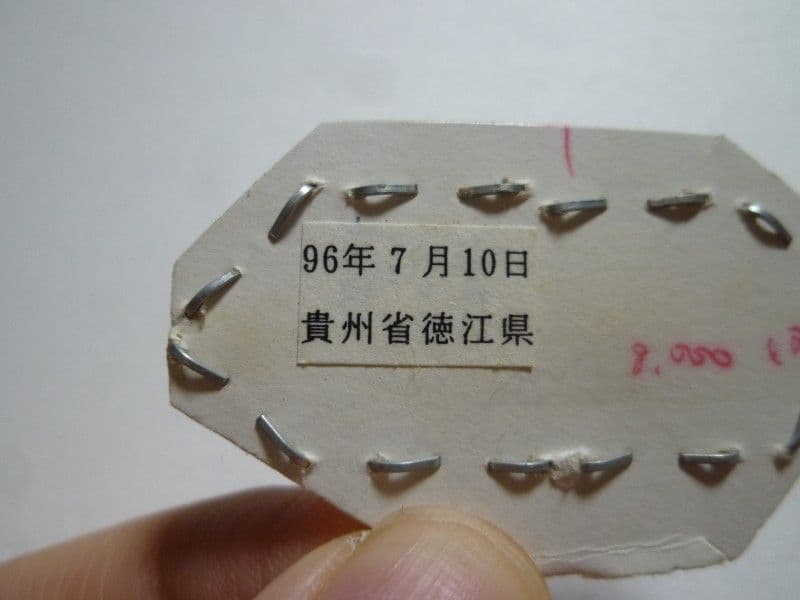 【外国産蝶標本】アスタコイデスノコギリクワガタ♂/貴州省.徳江県産/37mm