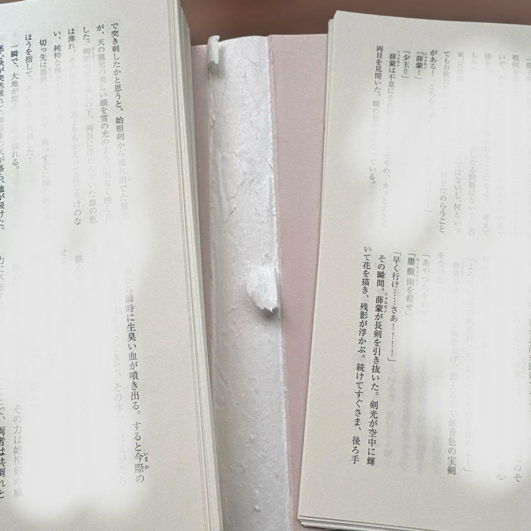 【裁断済】小説「二哈和他的白猫師尊」全8巻