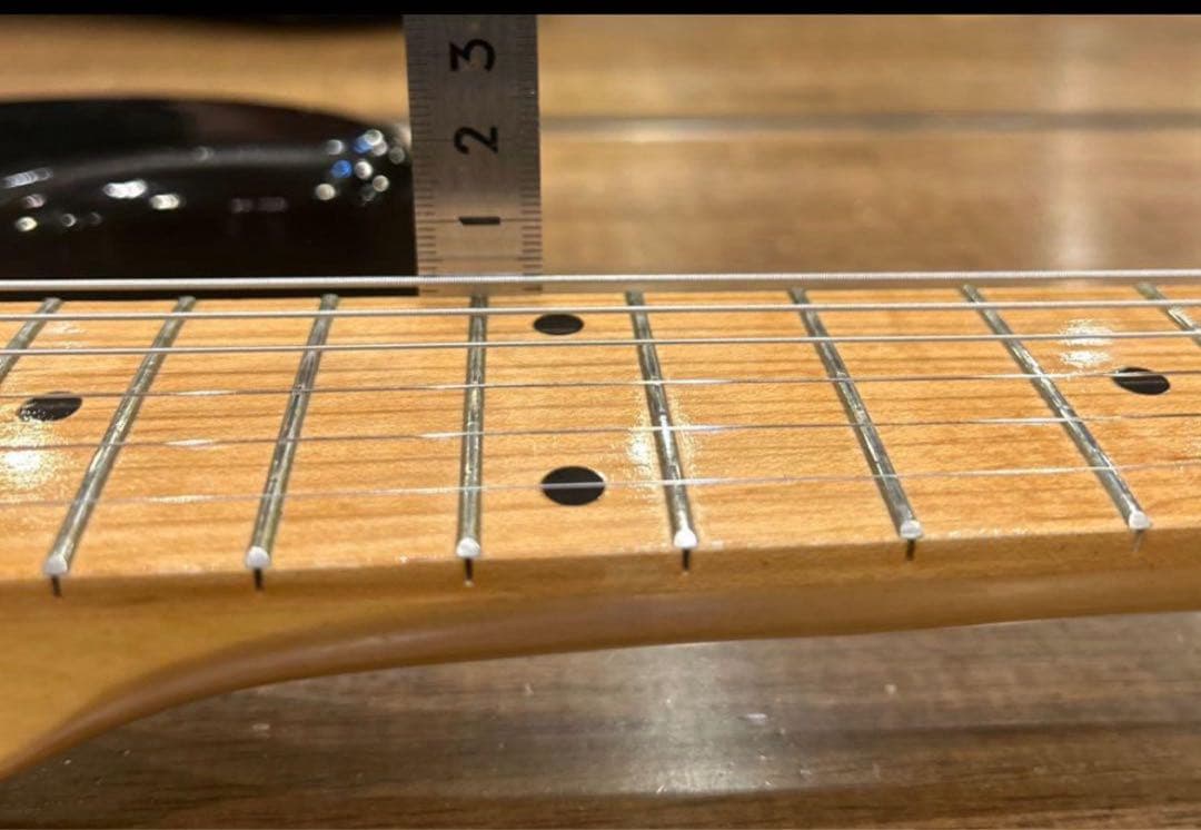 Holly Splendor Series エレキギター ブラック