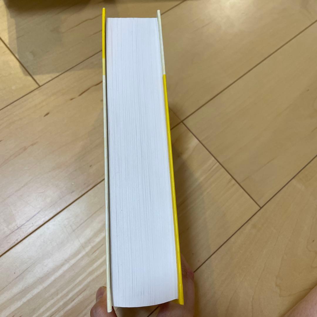 【美品】洋書　Serge Lang Algebra