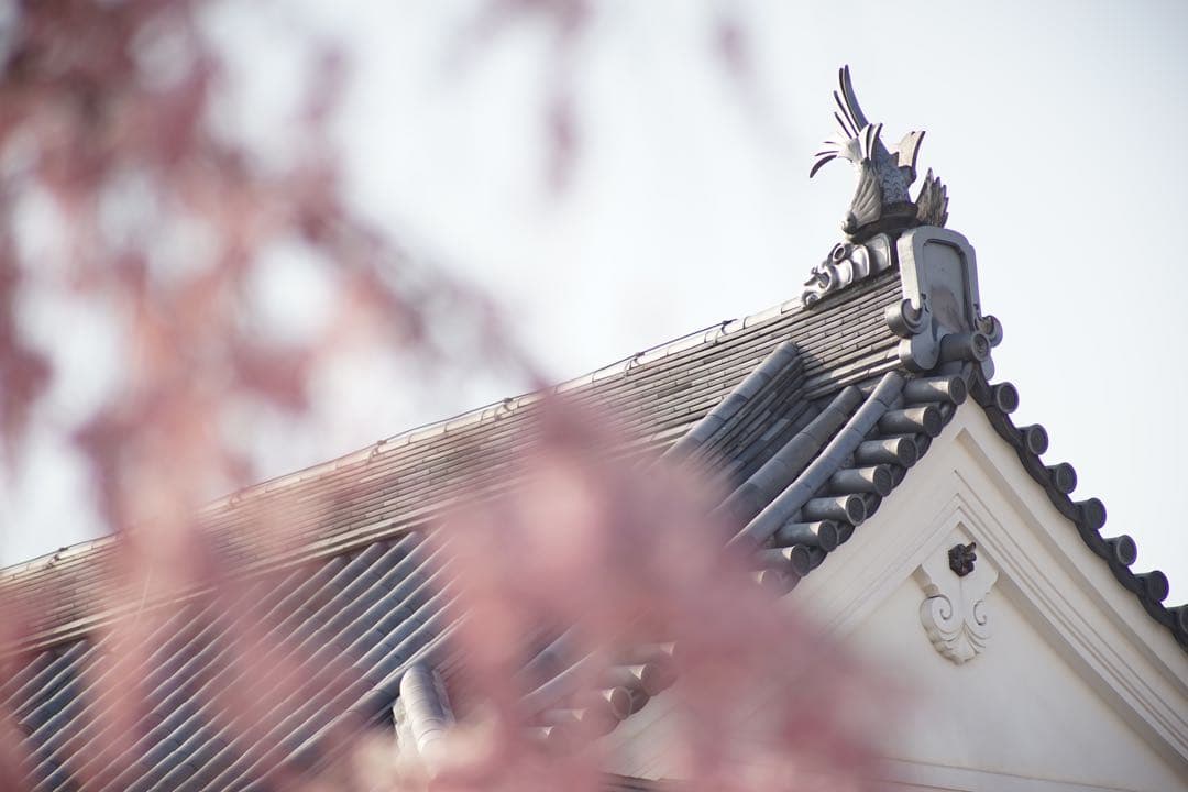 作例付き　TAMRON SP AF 300mm F/2.8 管mpr