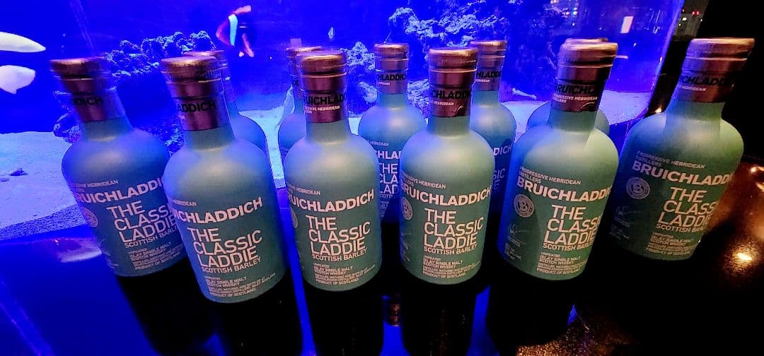 ブルックラディ ザ・クラシックラディ ミニボトル200ml【ウイスキー】11本